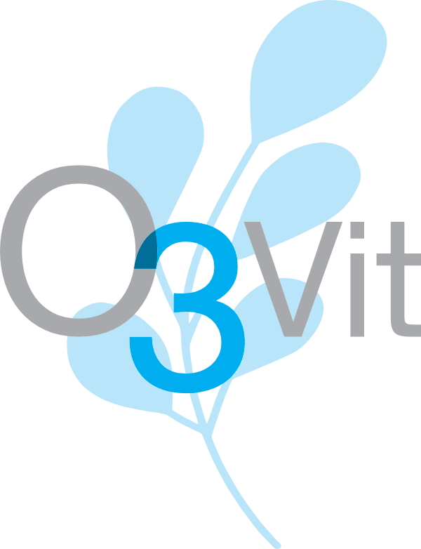 O3VIT